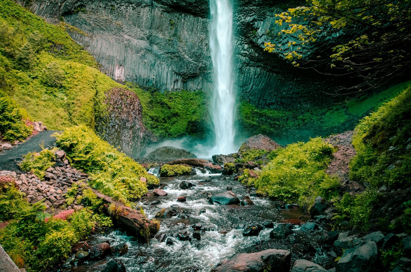 Welcome to Amicalola Falls State Park & Lodge